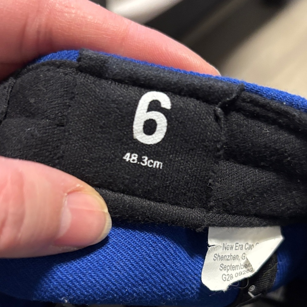 Blue Baseball Cap with Bird Logo - Picture 4 of 4